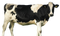 Cow PNG File Download Free