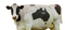 Cow PNG HD Image