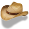 Cowboy Hat High-Quality PNG