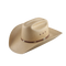 Cowboy Hat Transparent