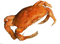 Crab PNG Picture