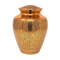 Cremation Ashes Vase PNG Download Image