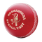 Cricket Ball PNG Image