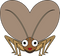 Cricket Insect Free PNG Image