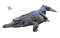 Crocodile PNG Picture