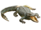 Crocodile PNG