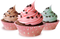 Cupcake Dessert