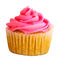 Cupcake PNG File Download Free