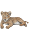 Cute Lion Cub PNG File