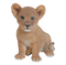 Cute Lion Cub PNG