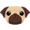 Cute Pug PNG Image File