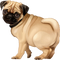 Cute Pug PNG Pic