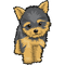 Cute Yorkshire Terrier Dog PNG Clipart