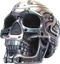 Cyborg Free PNG Image