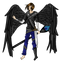 Dark Angel Transparent