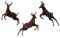 Deer Free Download PNG