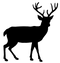 Deer PNG