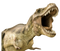 Dinosaur Bones Fossils PNG File