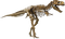 Dinosaur Bones Fossils PNG High Quality Image