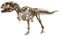 Dinosaur Bones Fossils PNG Image File