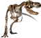 Dinosaur Bones Fossils PNG Transparent HD Photo