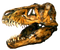 Dinosaur Head Bones Fossils PNG