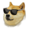 Doge Head Free Download PNG