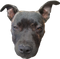 Doge Head Transparent