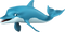 Dolphin Free Download PNG