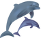 Dolphin Free PNG Image