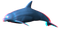 Dolphin PNG Pic