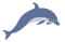 Dolphin PNG Picture