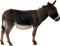 Donkey PNG Clipart