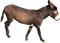 Donkey PNG File