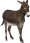 Donkey PNG HD Image