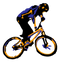 Downhill Mountain Bike