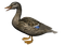 Duck PNG 8