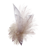 Dust PNG Image