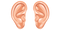 Ear Download PNG