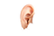 Ear Free Download PNG