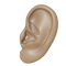 Ear PNG Clipart