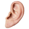 Ear PNG HD