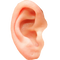 Ear PNG Pic