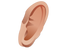 Ear PNG