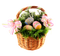 Easter Basket Bunny Free Download PNG