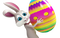 Easter Bunny PNG