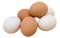 Egg Transparent