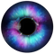 Eye Lens PNG Clipart