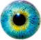 Eye Lens PNG File Download Free