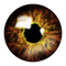 Eye Lens PNG Free Image